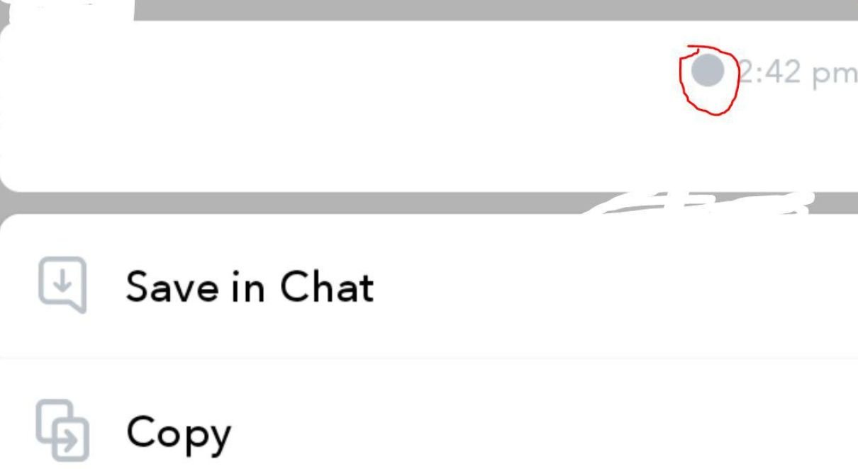 What Does Grey Circle Mean On Snapchat_
