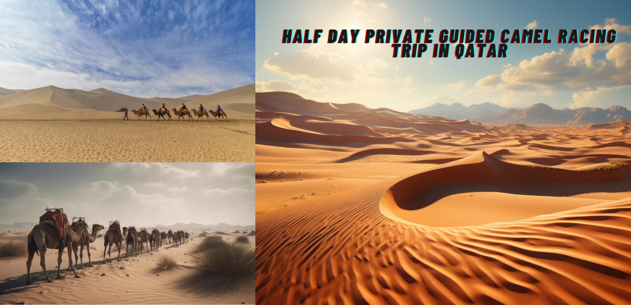 Half day private guided camel racing trip in Qatar